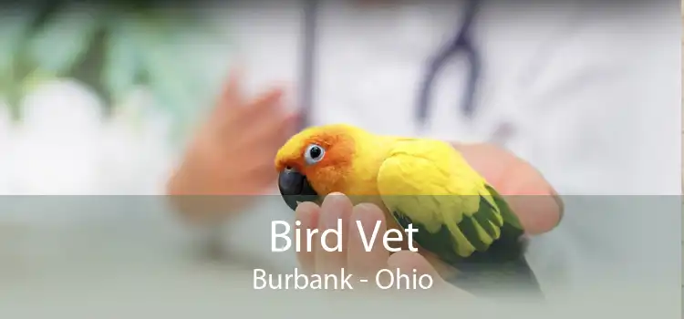 Bird Vet Burbank - Ohio