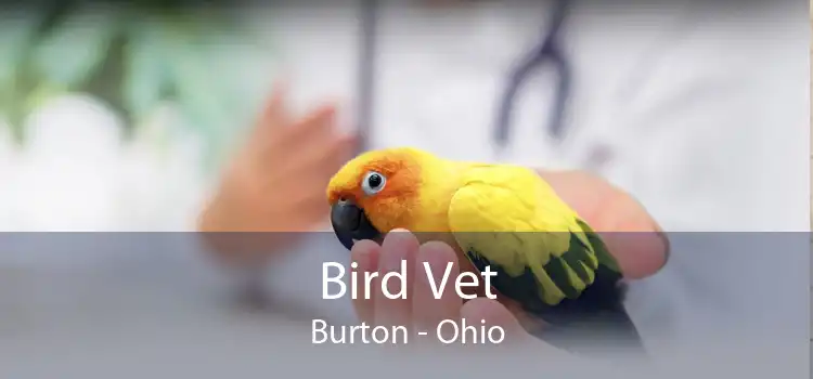 Bird Vet Burton - Ohio