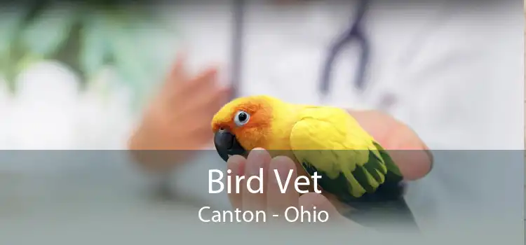 Bird Vet Canton - Ohio