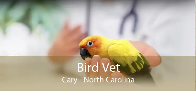 Bird Vet Cary - North Carolina