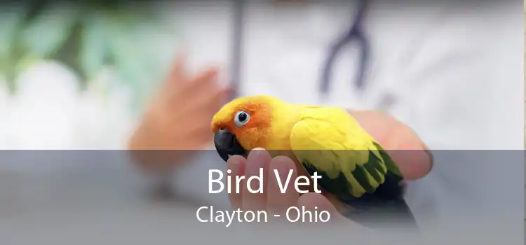 Bird Vet Clayton - Ohio