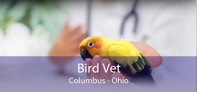 Bird Vet Columbus - Ohio