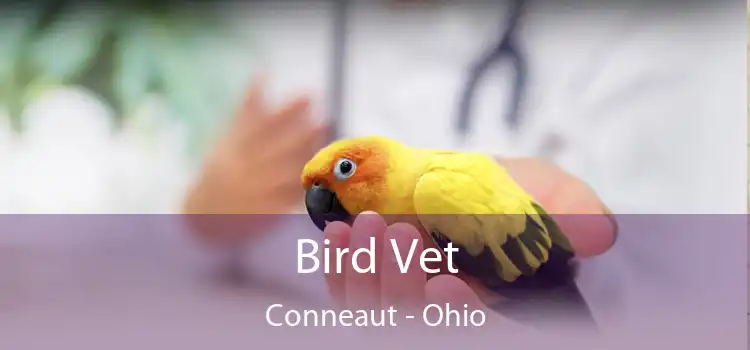 Bird Vet Conneaut - Ohio