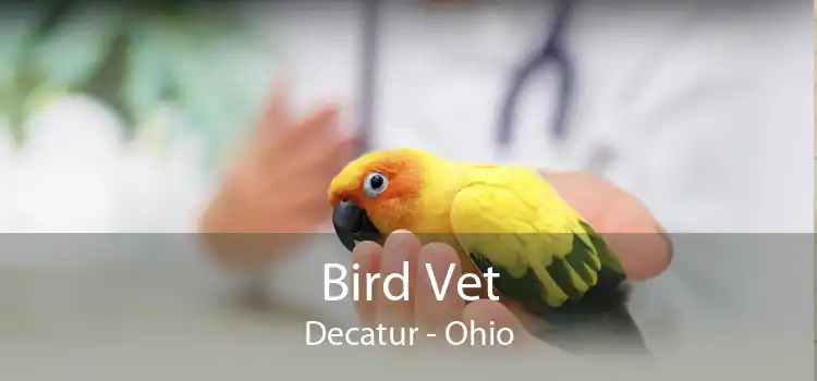 Bird Vet Decatur - Ohio