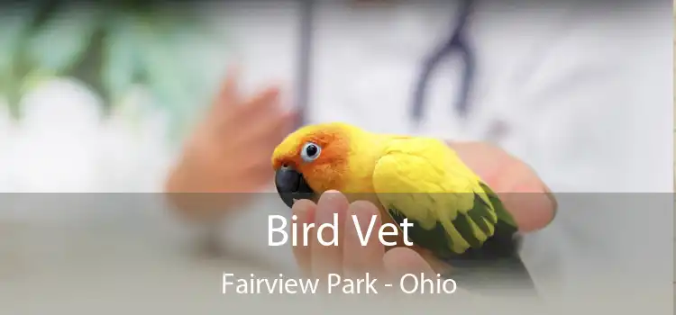 Bird Vet Fairview Park - Ohio