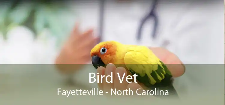 Bird Vet Fayetteville - North Carolina