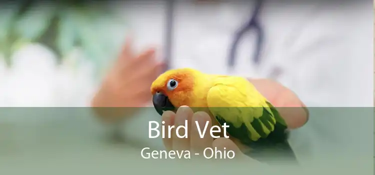 Bird Vet Geneva - Ohio