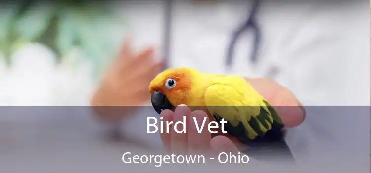 Bird Vet Georgetown - Ohio