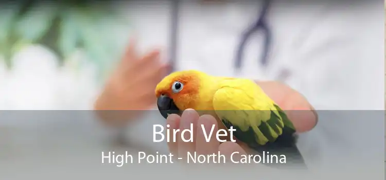 Bird Vet High Point - North Carolina