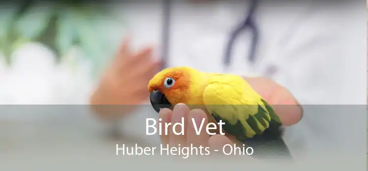 Bird Vet Huber Heights - Ohio