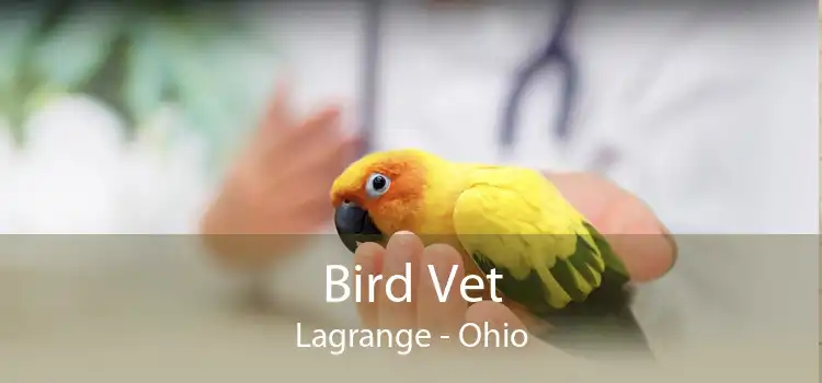 Bird Vet Lagrange - Ohio