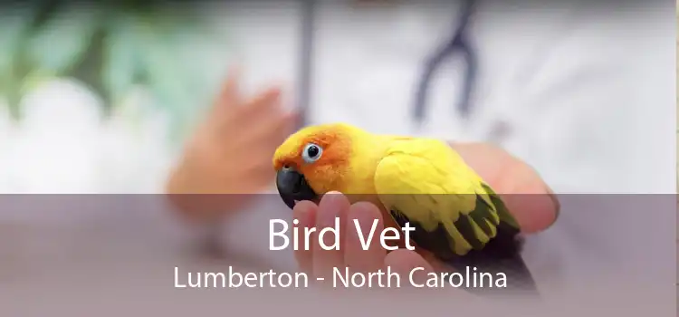 Bird Vet Lumberton - North Carolina