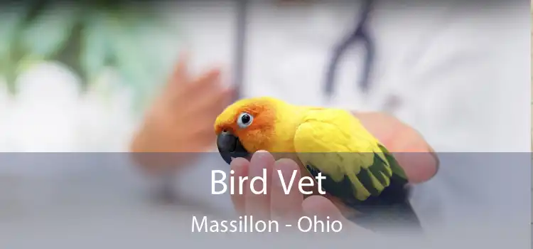 Bird Vet Massillon - Ohio