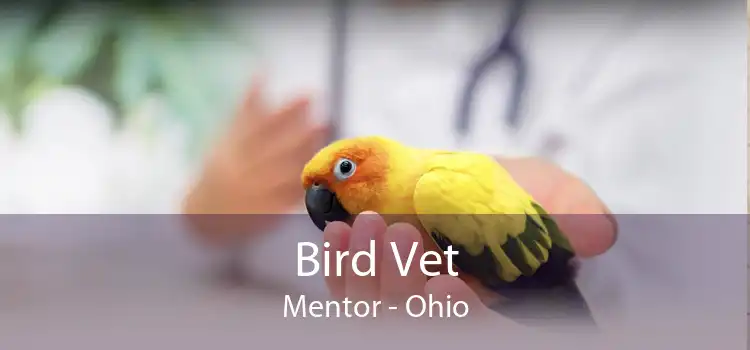 Bird Vet Mentor - Ohio