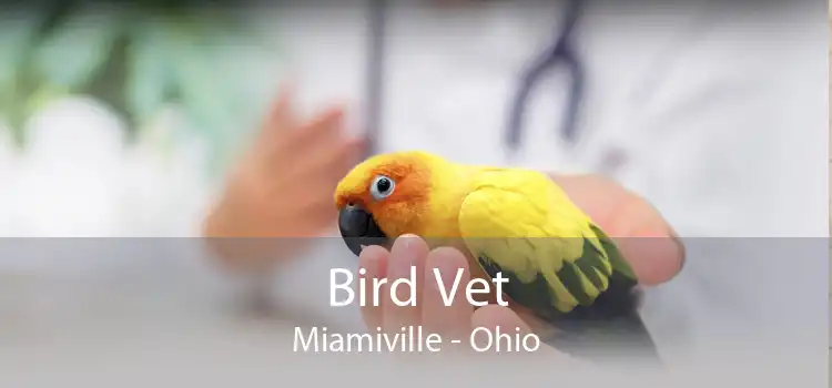 Bird Vet Miamiville - Ohio