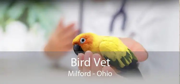 Bird Vet Milford - Ohio