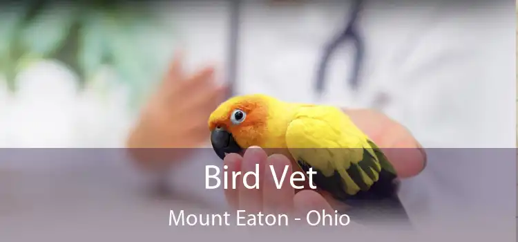 Bird Vet Mount Eaton - Ohio