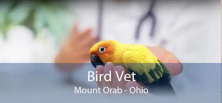 Bird Vet Mount Orab - Ohio