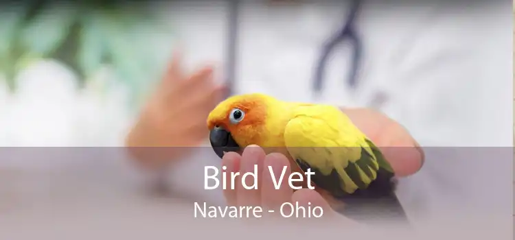Bird Vet Navarre - Ohio