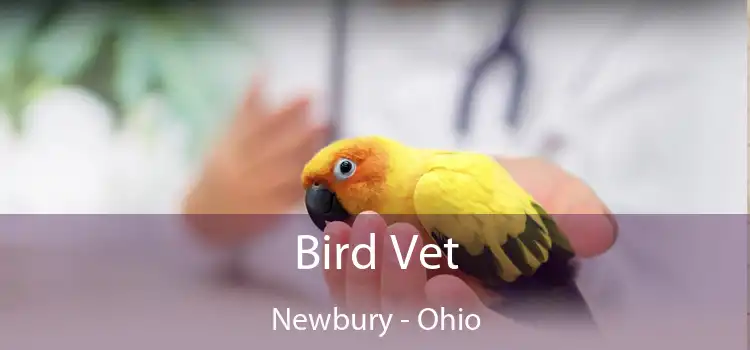Bird Vet Newbury - Ohio