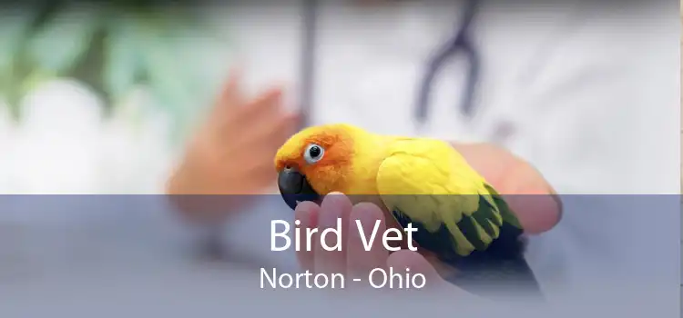 Bird Vet Norton - Ohio