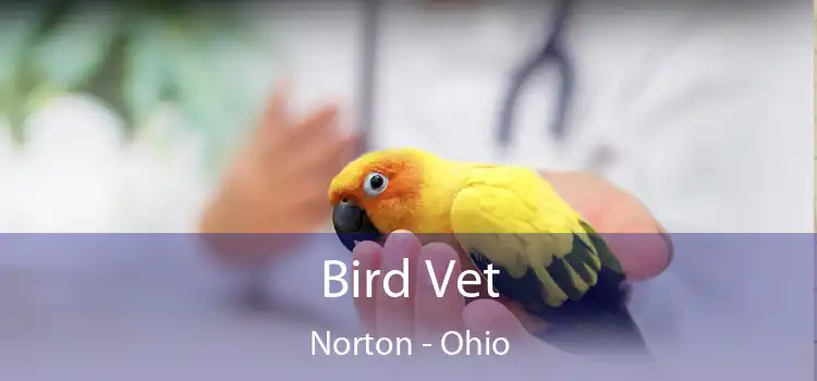Bird Vet Norton - Ohio