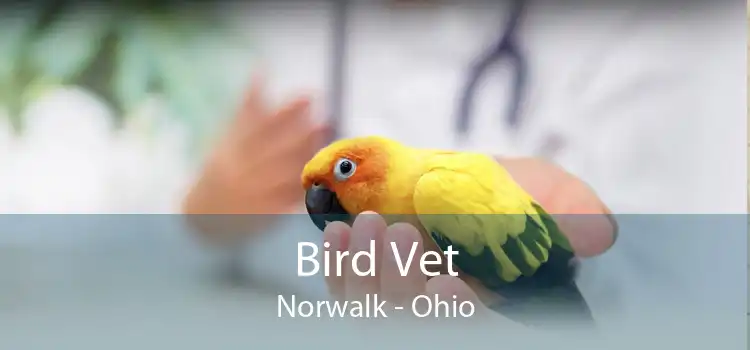 Bird Vet Norwalk - Ohio