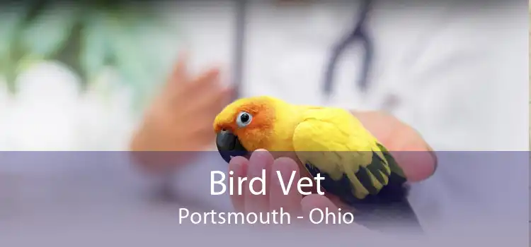 Bird Vet Portsmouth - Ohio