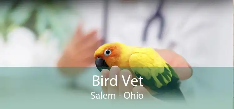 Bird Vet Salem - Ohio