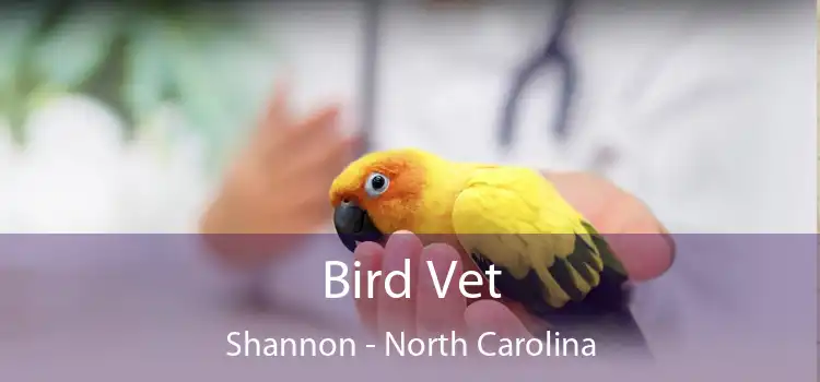 Bird Vet Shannon - North Carolina