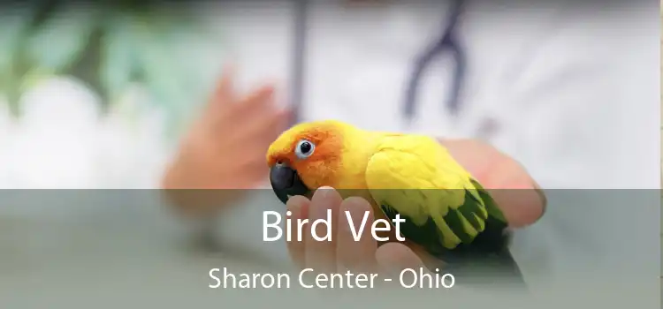 Bird Vet Sharon Center - Ohio