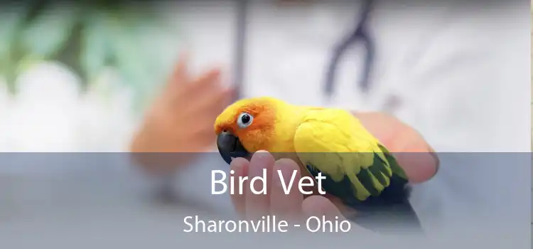 Bird Vet Sharonville - Ohio