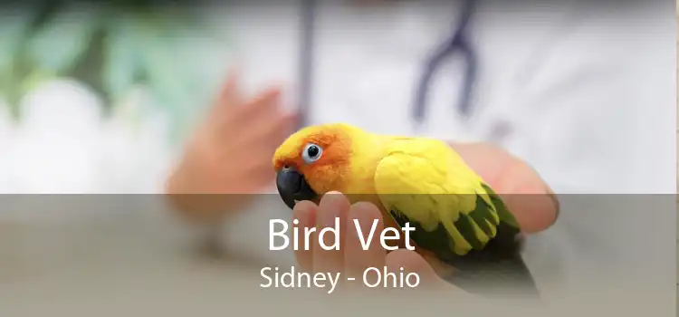 Bird Vet Sidney - Ohio