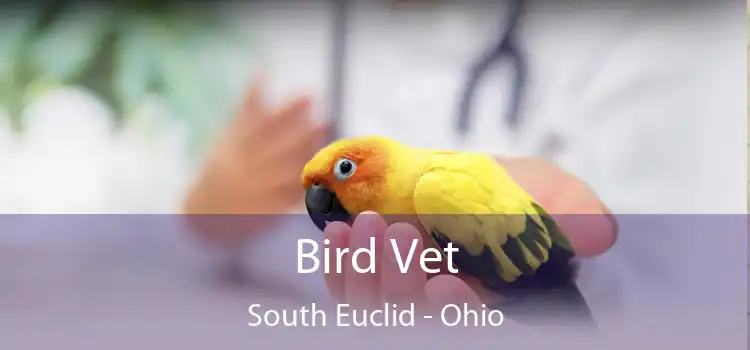 Bird Vet South Euclid - Ohio