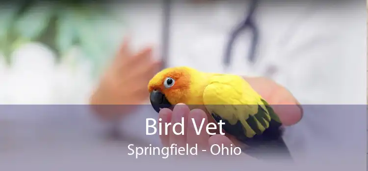 Bird Vet Springfield - Ohio