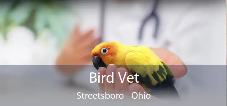 Bird Vet Streetsboro - Ohio