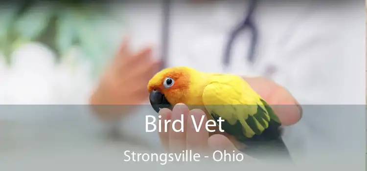 Bird Vet Strongsville - Ohio