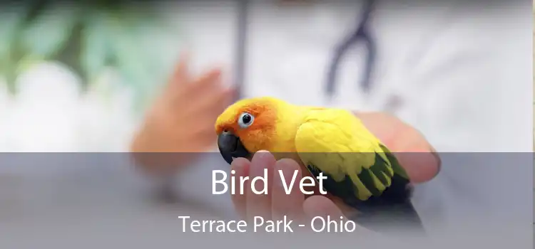 Bird Vet Terrace Park - Ohio