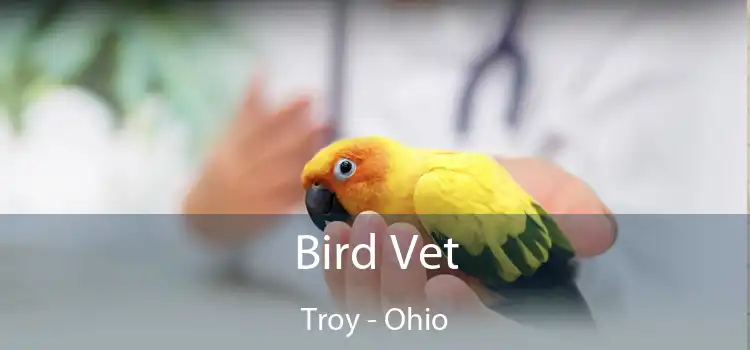 Bird Vet Troy - Ohio