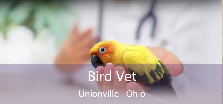 Bird Vet Unionville - Ohio