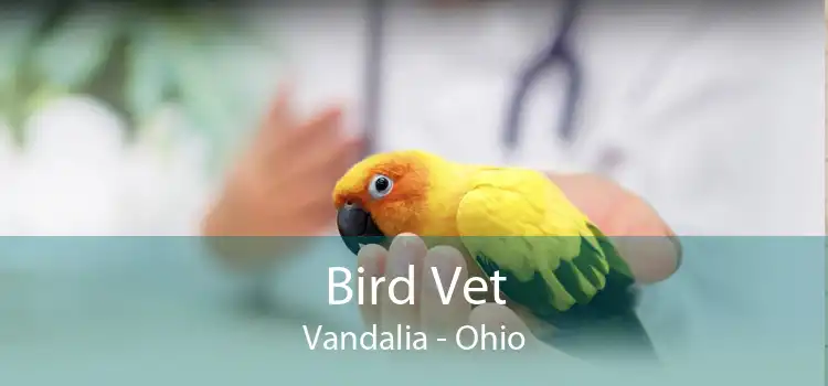 Bird Vet Vandalia - Ohio