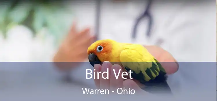 Bird Vet Warren - Ohio