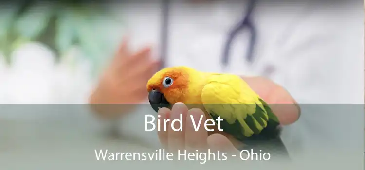 Bird Vet Warrensville Heights - Ohio