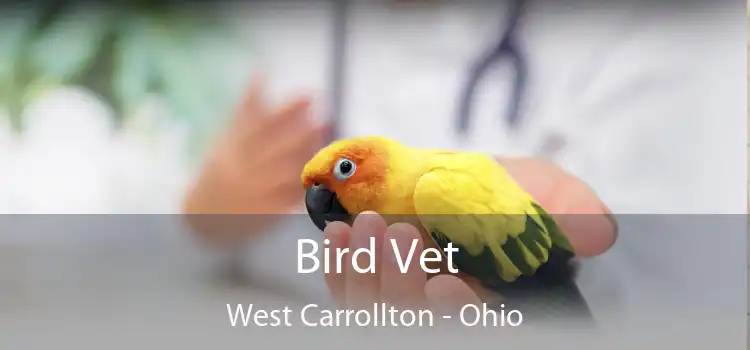 Bird Vet West Carrollton - Ohio