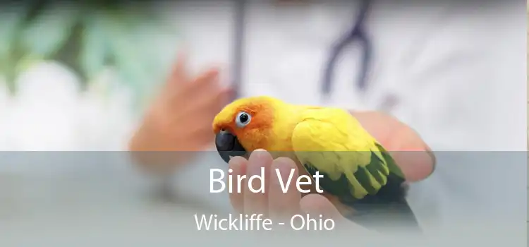 Bird Vet Wickliffe - Ohio