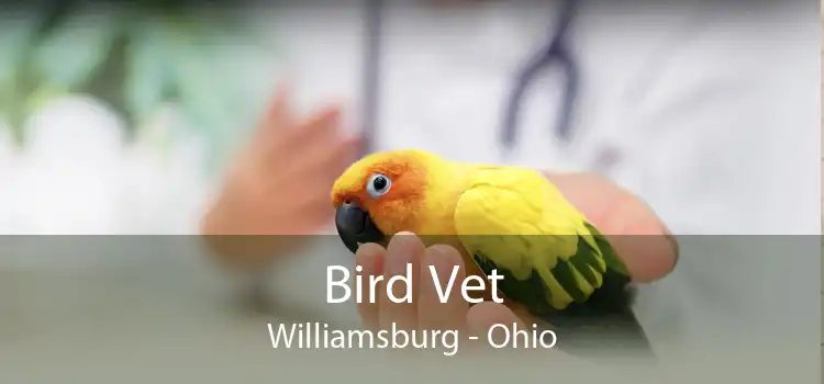Bird Vet Williamsburg - Ohio