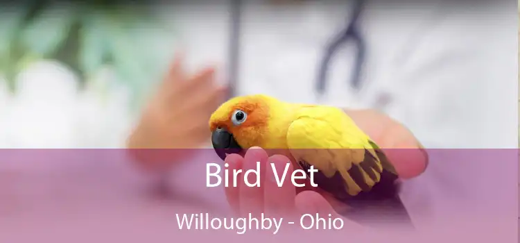 Bird Vet Willoughby - Ohio