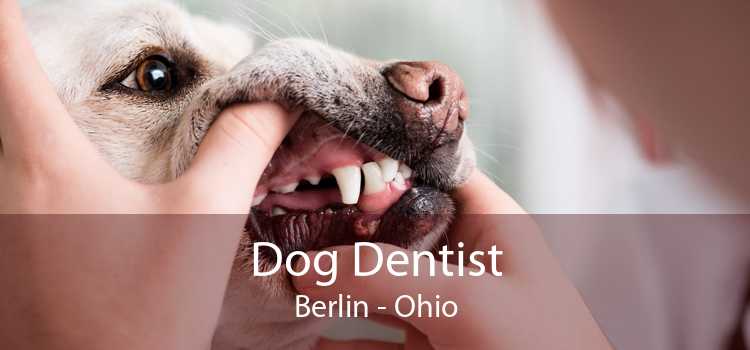 Dog Dentist Berlin - Ohio