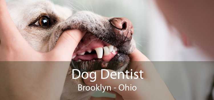 Dog Dentist Brooklyn - Ohio