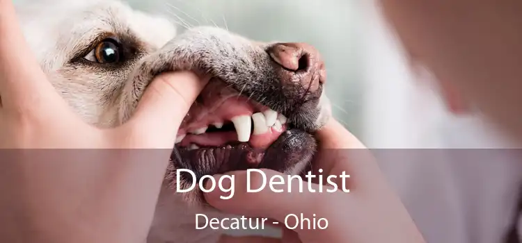 Dog Dentist Decatur - Ohio